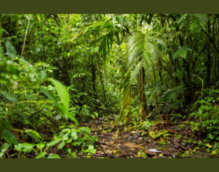 ACS promove curso de comunicação científica na Amazônia Legal